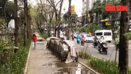 Vì sao những làn đường tiện ích ở Hà Nội chưa thu hút người dân?