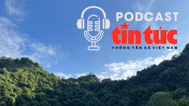 Vi vu Việt Nam: Hòa mình cùng 'bản giao hưởng' của thiên nhiên ở vùng đất Ninh Bình