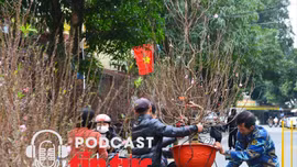 Tin nóng trong nước nghe nhanh sáng 25/11