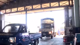 Gia Lai bắt tạm giam hai nguyên PGĐ Trung tâm Đăng kiểm
