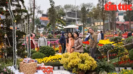Lễ hội hoa Xuân Quan 2023 thu hút đông đảo du khách