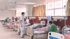 Bộ Y tế sẽ thành lập 3-6 trung tâm dự trữ thuốc hiếm