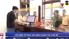 Cấp biển số theo mã định danh của chủ xe
