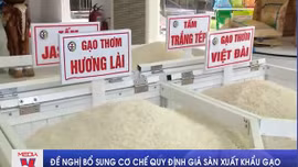 Đề nghị bổ sung cơ chế quy định giá sàn xuất khẩu gạo