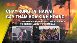 Tin tức TV: Cháy rừng ở Hawaii gây thảm hoạ kinh hoàng; xung đột tại Ukraine tạo thách thức mới với an ninh lương thực