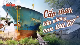 Tin tức TV: Cấp thiết cứu những con tàu '67'