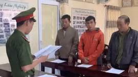 Vụ phá rừng quy mô lớn ở Đắk Lắk: Bắt tạm giam 4 cán bộ liên quan