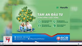 Phát hiện 3.100 trường hợp đại lý bảo hiểm sai phạm