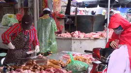 Nguy cơ dịch bệnh từ những chợ dân sinh