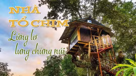 Kỳ lạ những ngôi 'nhà tổ chim' lửng lơ lưng chừng núi