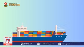 Doanh nghiệp lại suýt mất 5 container điều xuất khẩu