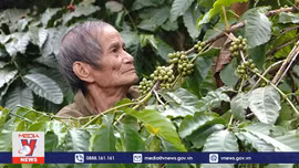 Người già chật vật vì không có lương hưu
