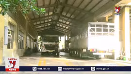 Không để ùn tắc khi nhu cầu kiểm định phương tiện tăng cao