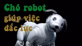 Robot chó cưng của Sony giúp việc đắc lực gia đình
