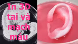 Khám phá phòng thí nghiệm in 3D bộ phận cơ thể người