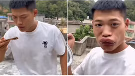 Tiktoker bị khóa tài khoản vì quay clip ăn ong vò vẽ