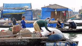 Làng chài trong lòng di sản vịnh Hạ Long