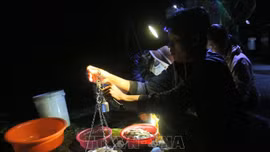 Về An Giang thăm 'chợ cá âm phủ' mùa nước nổi