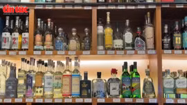 Ngành rượu tequila đứng trước rủi ro từ thuế của ông Trump