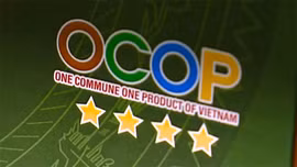 Ma trận sản phẩm OCOP đánh đố người tiêu dùng