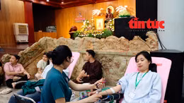 Nhiều hoạt động ý nghĩa dịp Vu Lan tại TP Hồ Chí Minh