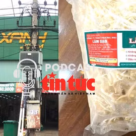 ‘Giải mã cùng luật sư’: Hàng nghìn tấn giá đỗ ngâm chất độc hại được tiêu thụ, ai là người chịu trách nhiệm? 