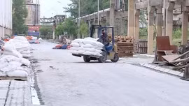 Doanh nghiệp thích nghi với biến động giá xăng dầu