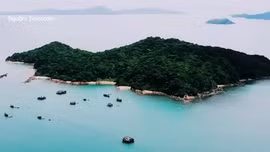 Net Zero Tour - Mô hình du lịch hướng tới chuyển đổi xanh