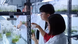 Nghị quyết 71 thúc đẩy giải bài toán thiếu nhân lực nông nghiệp