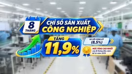Sản xuất công nghiệp tăng cao nhất trong 7 năm