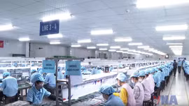 FDI tăng mạnh tạo kỳ vọng mới cho nền kinh tế