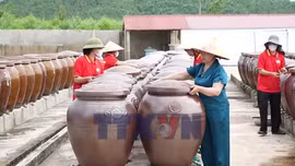 'Tấm vé' OCOP 5 sao giúp nước mắm Hà Tĩnh chinh phục thị trường