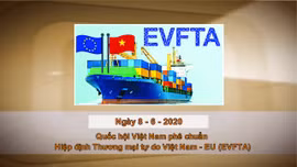 Khoảnh khắc và Sự kiện ngày 8/6