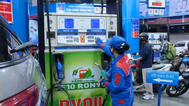 Học Bác mỗi ngày: Vì một Việt Nam xanh và bền vững