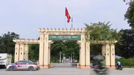 Khi công viên trở thành ‘vườn ươm’ sáng tạo đương đại
