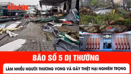 Bão số 5 dị thường làm nhiều người thương vong và gây thiệt hại nghiêm trọng