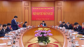 Họp Ban Chỉ đạo Cải cách tư pháp Trung ương