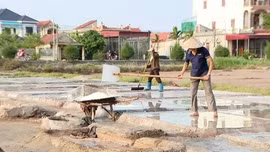 Diêm dân Ninh Bình gian nan giữ nghề muối truyền thống