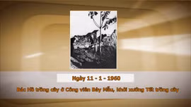 Khoảnh khắc & sự kiện ngày 11/1