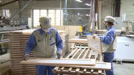 Các doanh nghiệp chủ động ứng phó thuế quan của Hoa Kỳ