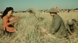 Thông điệp lịch sử: Bộ đội cụ Hồ - biểu tượng văn hóa cao đẹp của quân đội nhân dân Việt Nam