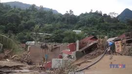 Khó khăn tái thiết sau lũ lịch sử tại Nghệ An