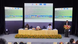 UNESCO ủng hộ phục dựng không gian chính điện Kính Thiên