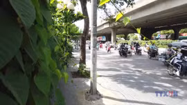 Lùi thời điểm kiểm định khí thải xe máy tại Hà Nội