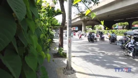 Lùi thời điểm kiểm định khí thải xe máy tại Hà Nội