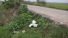 Ô nhiễm môi trường từ vỏ thuốc bảo vệ thực vật