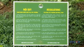 Đảm bảo an toàn cho du khách trải nghiệm loại hình du lịch trong rừng