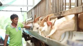 Gỡ 'điểm nghẽn' vốn thúc đẩy hợp tác xã phát triển