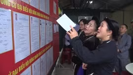 Cao Bằng: Tỷ lệ cử tri tham gia bầu cử đạt trên 99,93%