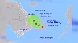 Khẩn cấp ứng phó với áp thấp nhiệt đới trên Biển Đông